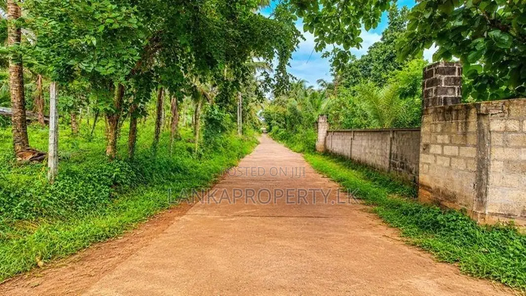 Valuable 5 Acres Land for Sale in Katana.