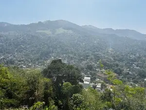 Mountain Land for Sale in Kandy