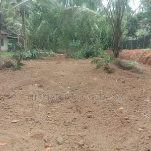 Land for Sale in Divulapitiya