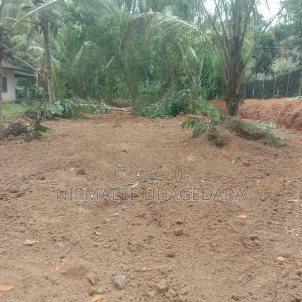 Land for Sale in Divulapitiya