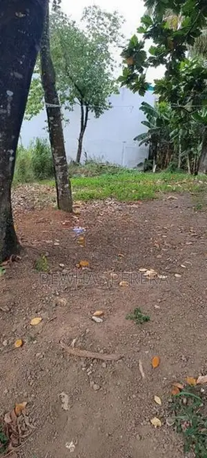 Super Land for sale sagabo mw between mankada road and delgoda