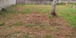 Land for Sale in Habarakada
