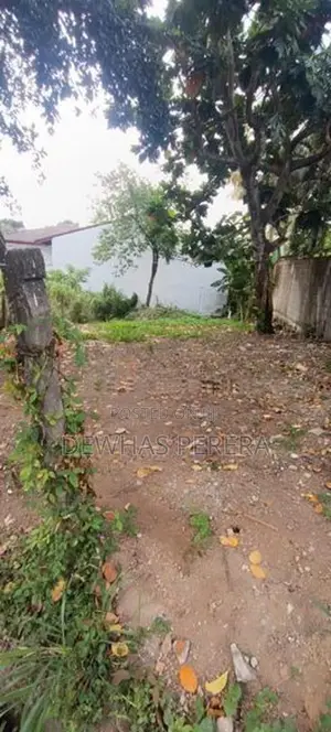 Super Land for sale sagabo mw between mankada road and delgoda
