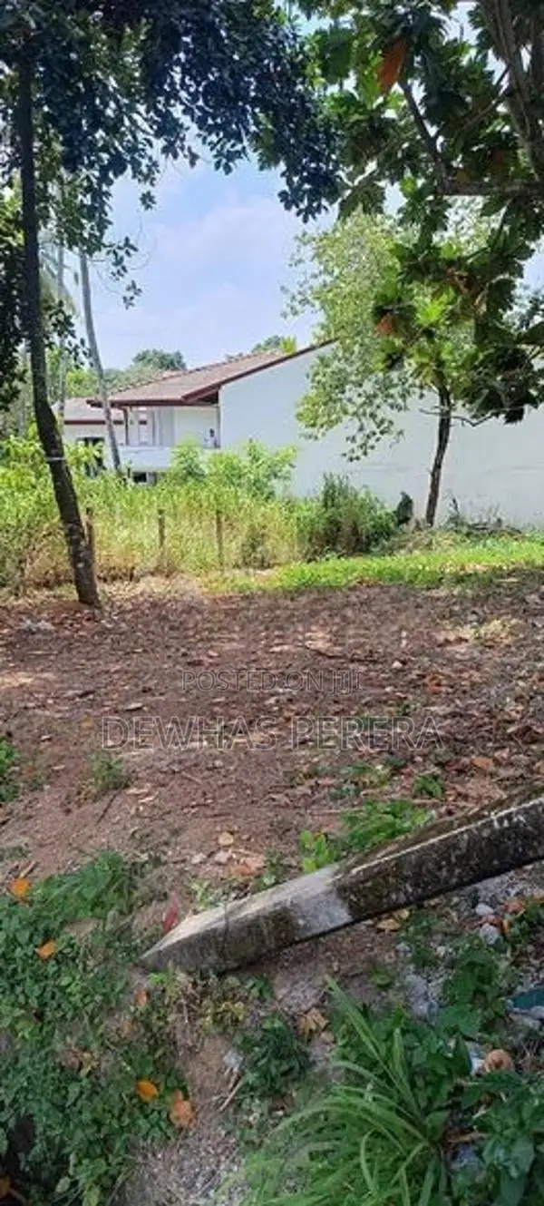 Super Land for sale sagabo mw between mankada road and delgoda