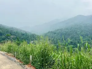 Lands for Sale in Nillamba