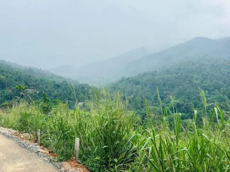 Lands for Sale in Nillamba
