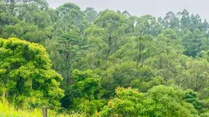 Lands for Sale in Pussellawa