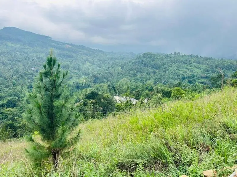 Lands for Sale in Nillamba
