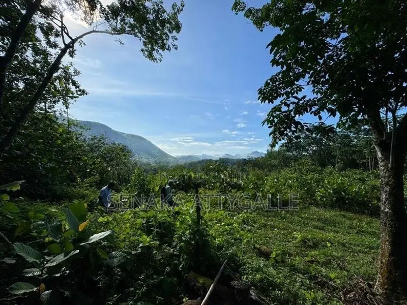Scenic Land with 180 Degree Mountain Range View in Kiriella