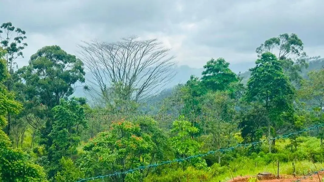 Lands for Sale in Pussellawa