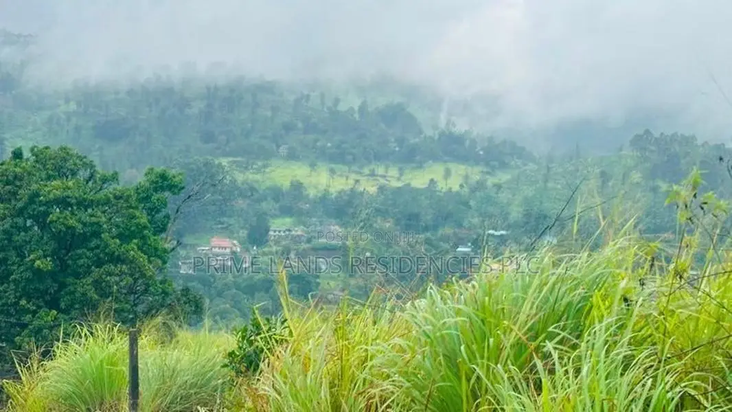 Lands for Sale in Pussellawa