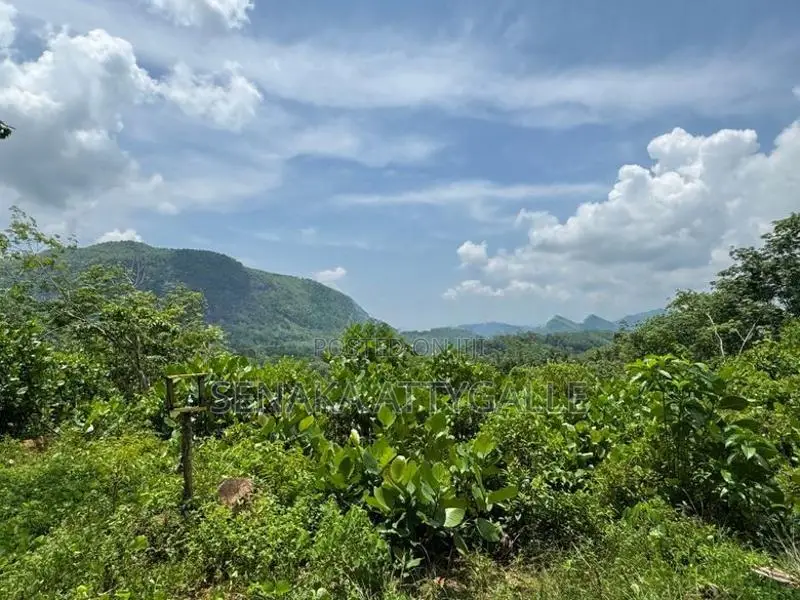 Scenic Land with 180 Degree Mountain Range View in Kiriella