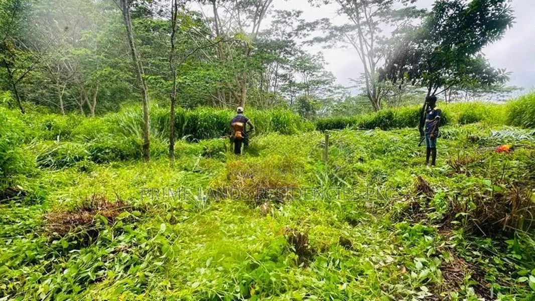 Lands for Sale in Pussellawa