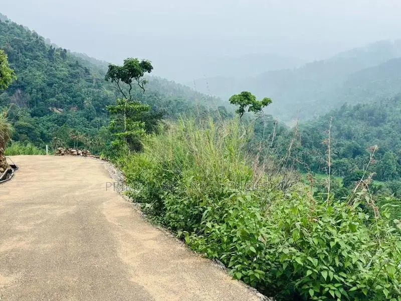 Lands for Sale in Nillamba