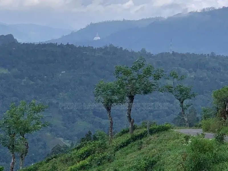 Lands for Sale in Pundaluoya