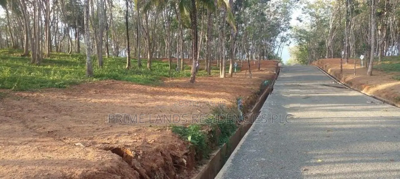 Land for Sale in Ahangama Tourism Area