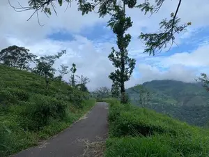 Lands for Sale in Pundaluoya