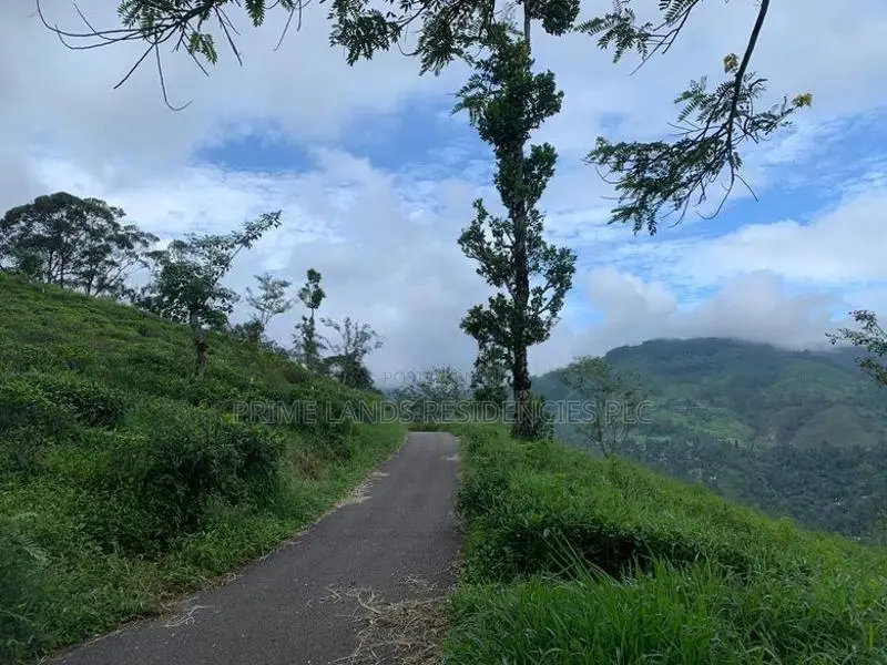 Lands for Sale in Pundaluoya