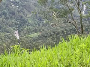 Lands for Sale in Pundaluoya