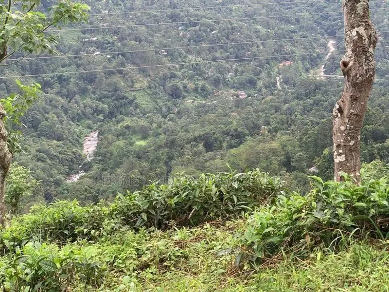 Lands for Sale in Pundaluoya