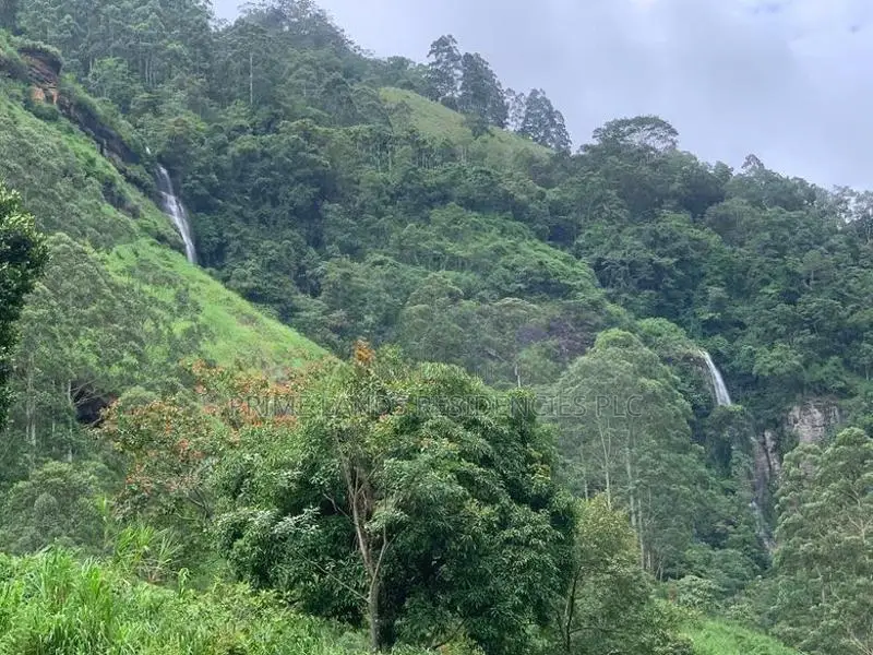 Lands for Sale in Pundaluoya