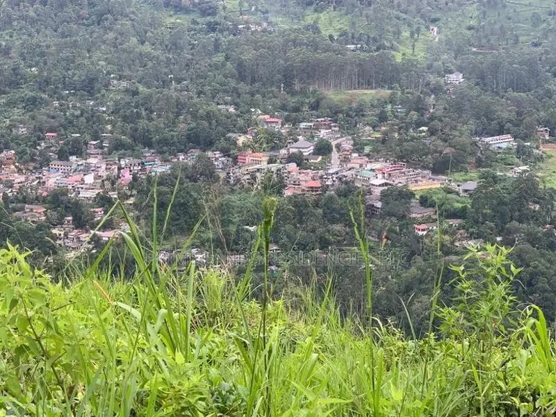 Lands for Sale in Pundaluoya