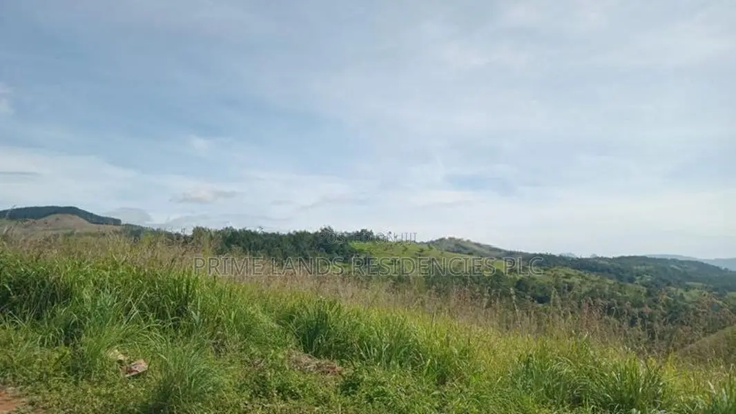Lands for Sale in Delthota