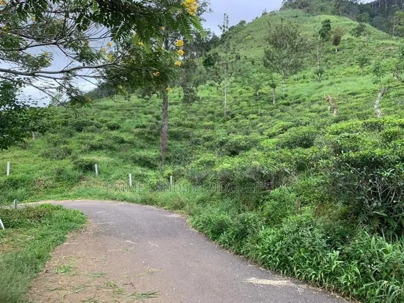 Lands for Sale in Pundaluoya