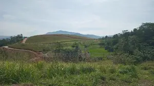Lands for Sale in Delthota
