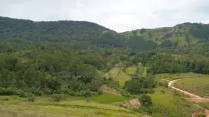 Lands for Sale in Delthota