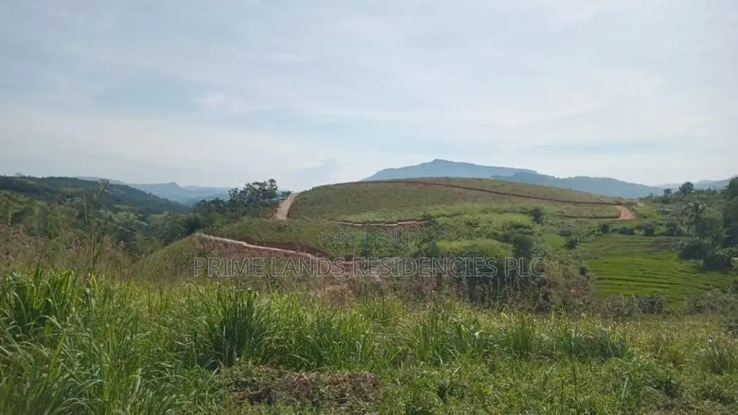 Lands for Sale in Delthota