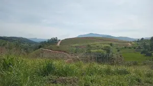Lands for Sale in Delthota