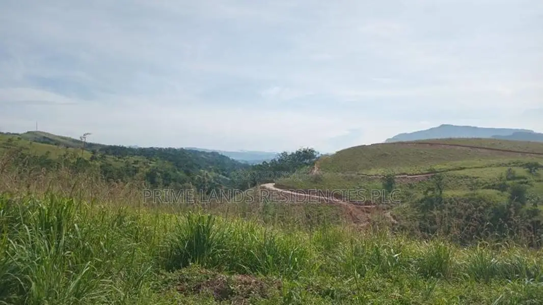 Lands for Sale in Delthota