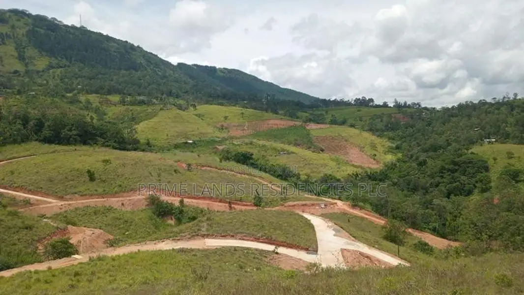 Lands for Sale in Delthota