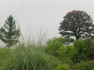 Lands for Sale in Upper Glenloch