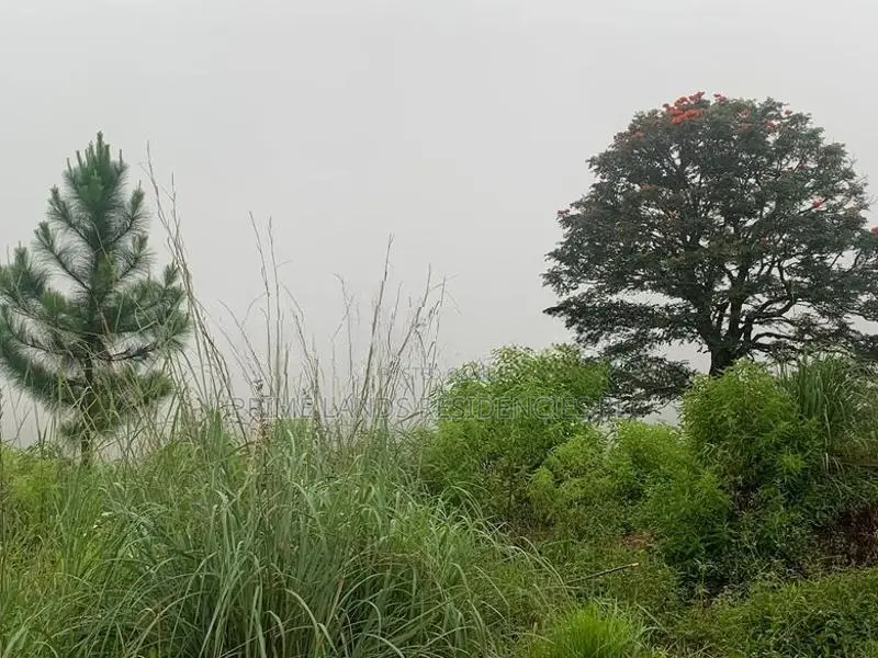 Lands for Sale in Upper Glenloch