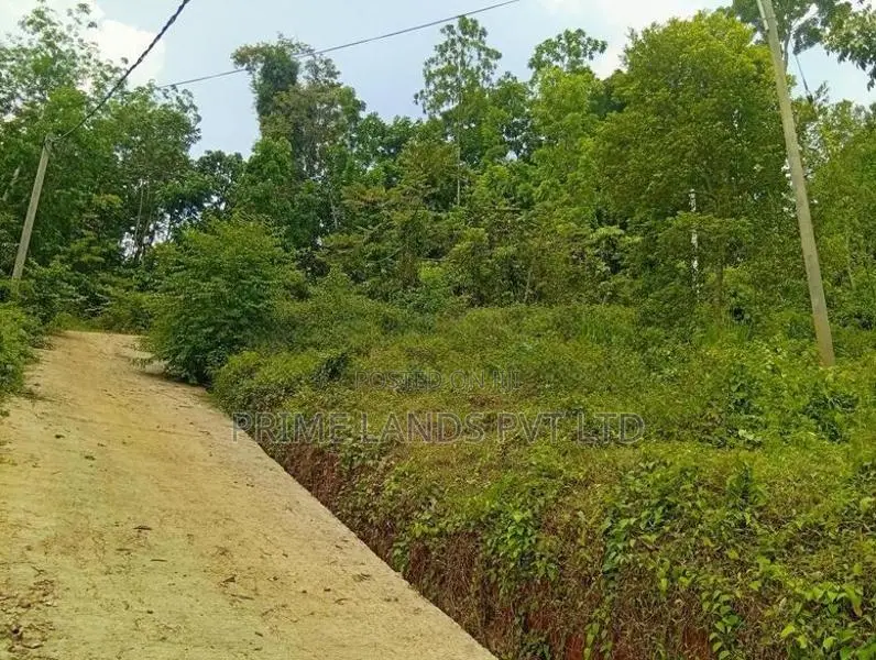 Land Sale in Nelumdeniya