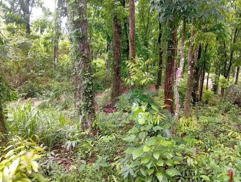 Land Sale in Nelumdeniya