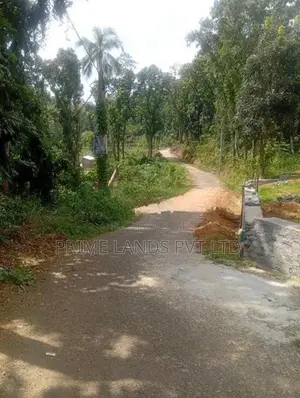 Beautiful Land in Nelumdeniya