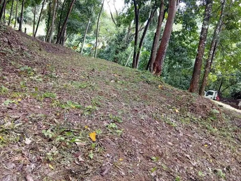 Land Sale in Nelumdeniya