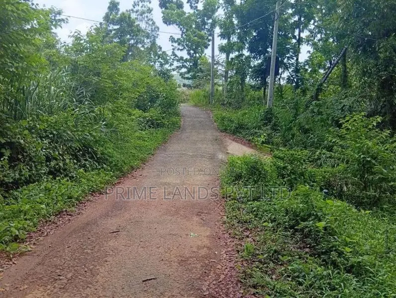 Beautiful Land in Nelumdeniya