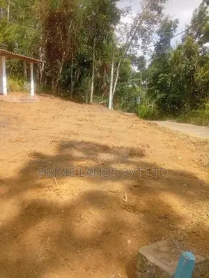 Land Sale in Nelumdeniya