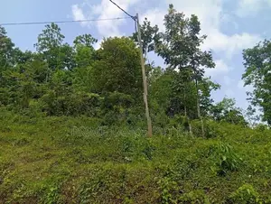 Land Sale in Nelumdeniya