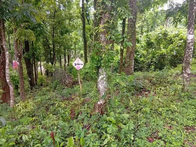 Land Sale in Nelumdeniya