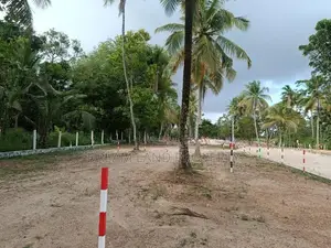 Land for Sale Narammala Town