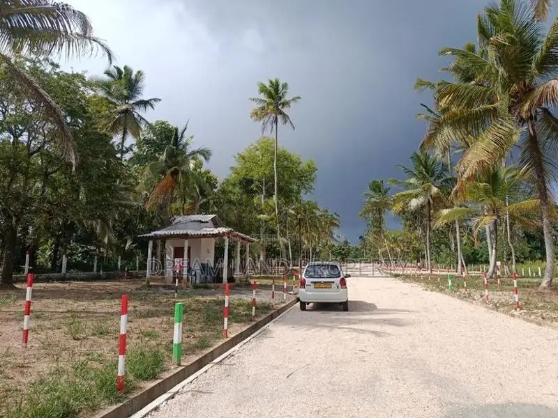 Land for Sale Narammala Town