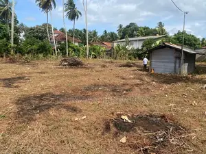 57 Perches Land for Sale Nainamadama Wennappuwa