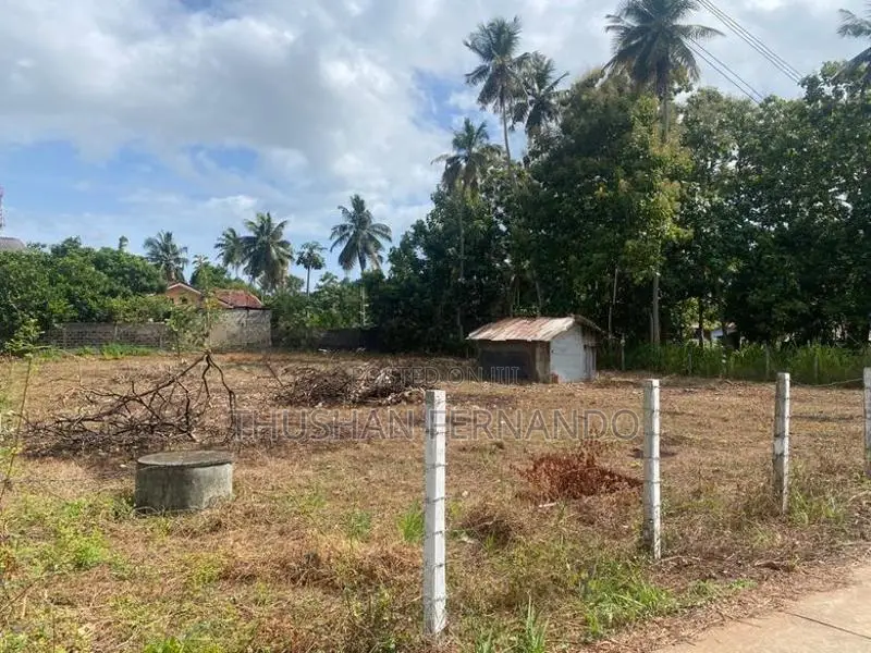 57 Perches Land for Sale Nainamadama Wennappuwa