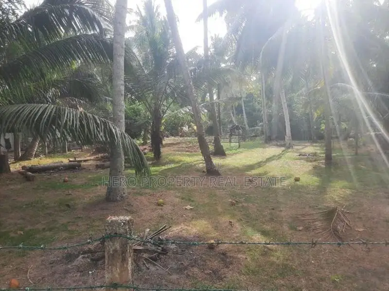 Bare Land for Sale in Kochchikade