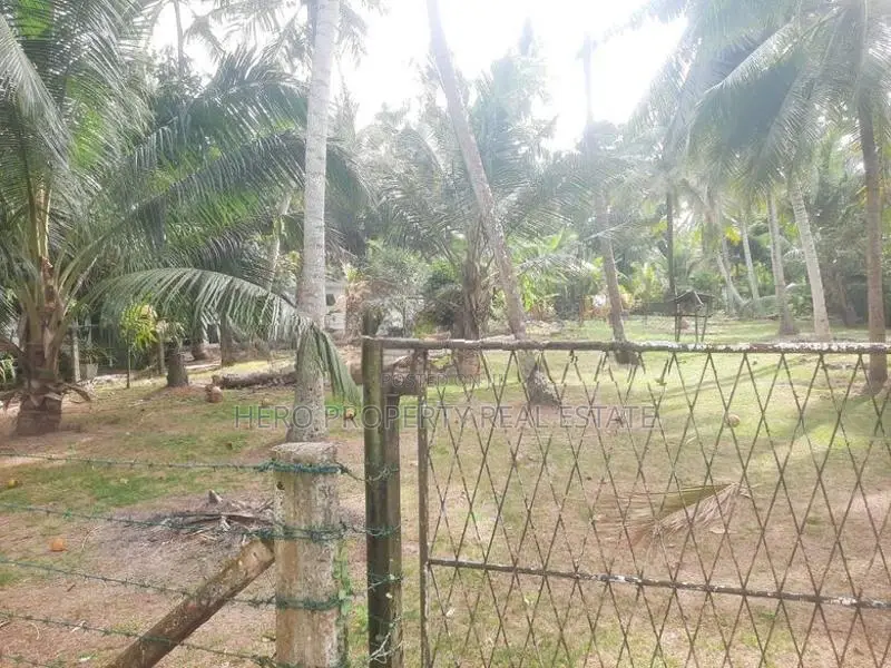 Bare Land for Sale in Kochchikade